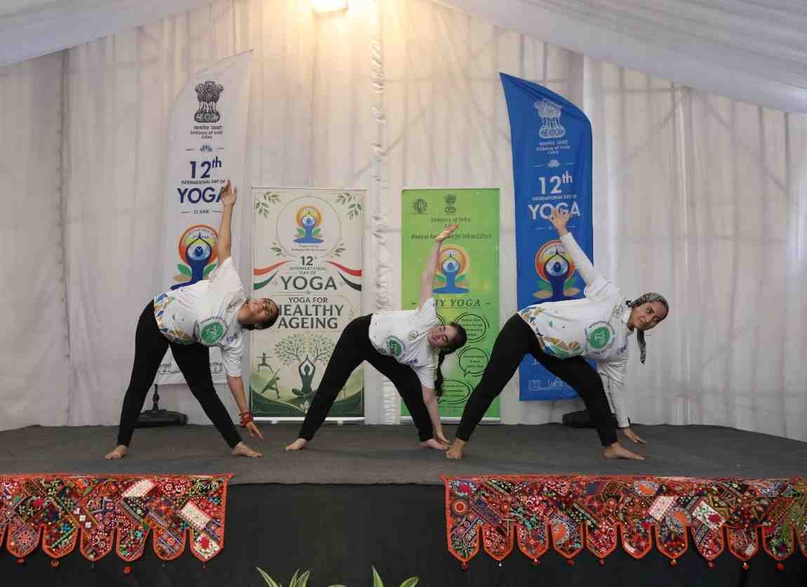 Yoga for Healthy Ageing