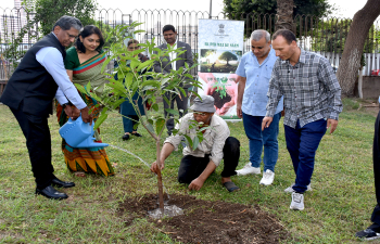 As part of “Ek Ped Maa Ke Naam Campaign”,  Ambassador Suresh K. Reddy planted a tree at Al Horreya Park, Cairo, September 18, 2025